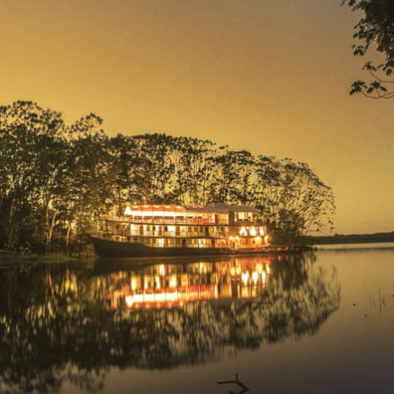 Cruise in the jungle